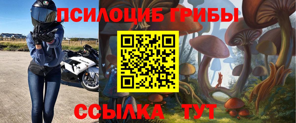Туймазы  Псилоцибиновые грибы MAGIC MUSHROOMS  Галлюциногенные грибы мухоморы  Вход с VPN 