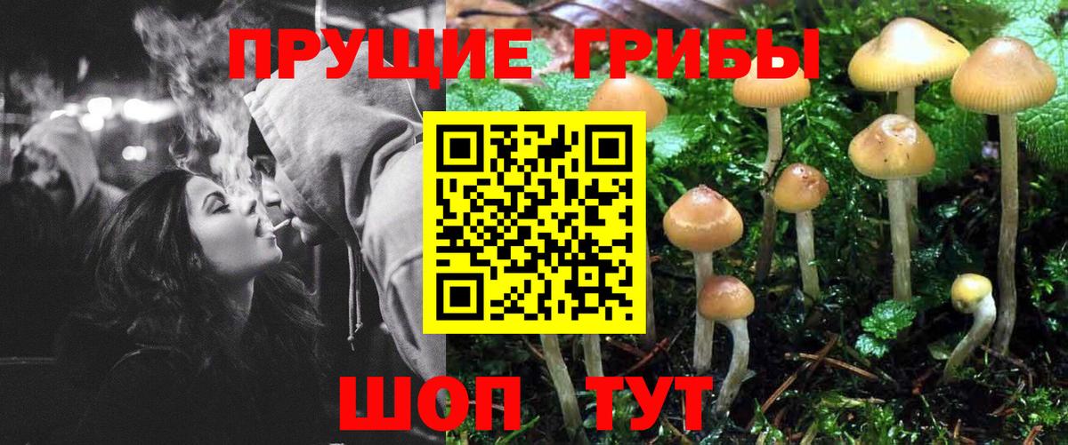 Псилоцибиновые грибы ЛСД Туймазы